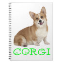 Recherche de corgi carnets Chiot
