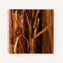Recherche de grains papeterie Naturel