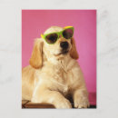 Recherche de portant cartes postales Lunettes de soleil