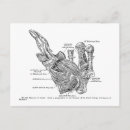 Recherche de pouce cartes postales Main