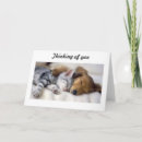Recherche de merci animaux articles Sympathie
