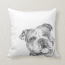 Recherche de français bouledogue coussins Chien mignon