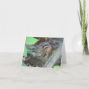 Recherche de rongeurs vœux cartes Faune