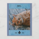 Recherche de escargot et chat cartes postales Animaux