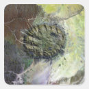 Recherche de vue aérienne autocollants Désert