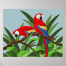 Recherche de scarlett posters Macaw