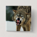 Recherche de gris loup Horizontal