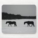 Recherche de cheval noir tapis souris Hiver