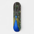 Recherche de paon skateboards Animal