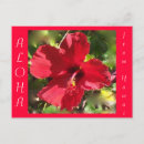 Recherche de aloha fleurs cartes postales Hibiscus