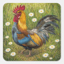 Recherche de coq coloré autocollants Poule