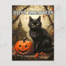 Recherche de petit chat noir cartes postales Pour tous