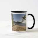 Recherche de les seychelles tasses Côte