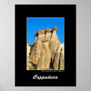 Recherche de dinde posters Anatolia