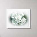 Recherche de hortensias toiles Floral