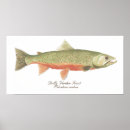 Recherche de fly fishing posters Salmon