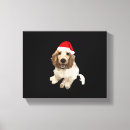 Recherche de de cocker art Chiot