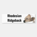 Recherche de photo chien voiture autocollants Amoureux des chiens
