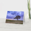 Recherche de arbre solitaire Nuages