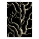 Recherche de barrière de plage cartes postales Nature