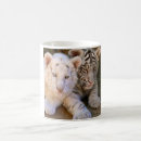 Recherche de blanche de tigre tasses Pour tous