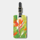 Recherche de oiseau bagages étiquettes Coloré