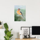Recherche de oiseau curieux art Nature