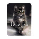 Recherche de cat magnets Pour tous