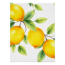 Recherche de citron posters Botanique