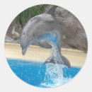 Recherche de sautant autocollants Sauter