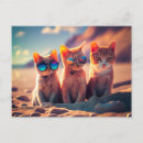 Recherche de chat lunettes soleil cartes postales Chatte