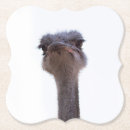 Recherche de autruche dessous de verres Mignon