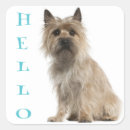 Recherche de salut et bonjour autocollants Chien