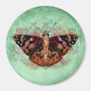 Recherche de papillon orange magnets Cru