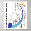 Recherche de histoire naturelle posters Biologie