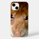 Recherche de rat iphone coques Animaux