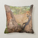 Recherche de le guépard coussins Sauvage