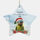 Recherche de perroquet bleu ornements Bleu et or