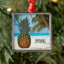 Recherche de palmiers ornements Tropical