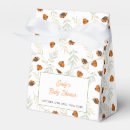 Recherche de coccinelles ballotins Petite dame