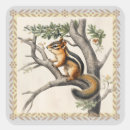 Recherche de chipmunk autocollants Nature