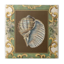 Recherche de coquille de mer carreaux Conque