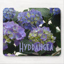 Recherche de hortensia bleu électronique Jardin