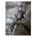 Recherche de singe de bébé carnets Primate