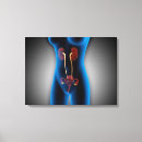 Recherche de fertilité humaine posters Illustration