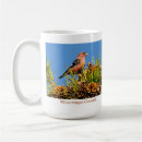 Recherche de bec tasses Faune