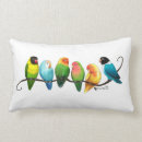 Recherche de perruche coussins Oiseaux