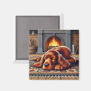 Recherche de setter magnets Pour tous