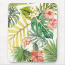 Recherche de hibiscus tapis souris Tropical