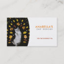 Recherche de chat fou cartes visite Animal de compagnie